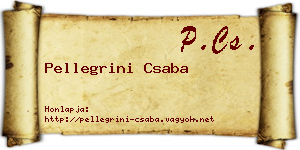 Pellegrini Csaba névjegykártya